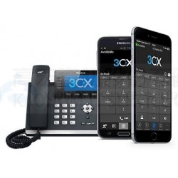 3CX 系統軟體-年租/每年授權 (3CXPSSPLA12M4)