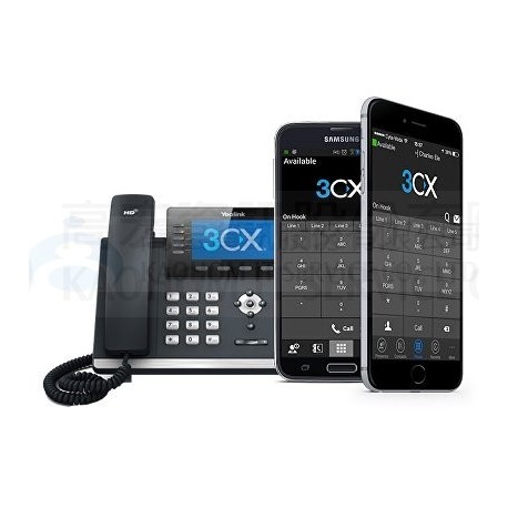 3CX 系統軟體-年租/每年授權 (3CXPSSPLA12M4)